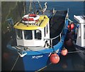 The potter Mizpah N455  tied up at Portaferry Pier