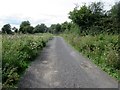 Track to Bottings Farm