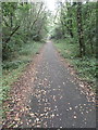 Footpath and cycle-track beside the A472, Maesycwmmer