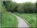 Walkway - Winnall Moors Nature Reserve