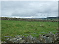 Grazing and stone wall, Bayles