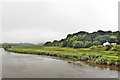 River Towy at Carmarthen