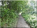 Heytesbury, footpath