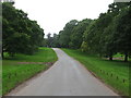 NY5224 : Tree-lined road north of Lowther Castle by G Laird