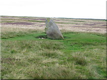 NY4921 : Cop Stone, Moor Divock by G Laird