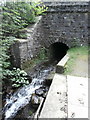 The Nant Twynyrharris flowing under the railway bridge, Twyn Rd