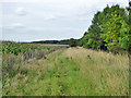 Bridleway to Great Milton