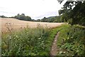 Path beside the Tay