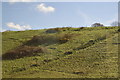 A Devon Hillside