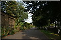 View along the path in Haggerston Park from Queensbridge Road