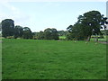 Grazing, Wolsingham