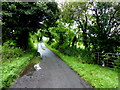 Wet along Killycurragh Road