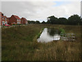 TG2026 : Run off pond, Bure Meadows development by Hugh Venables