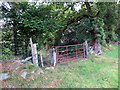 Llwybr cyhoeddus / Public footpath