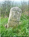 Old Milestone by the A35, Long Bredy, west of Dorchester