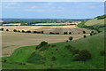 Farmland below Botley Down