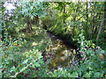 Gatwick Stream, Forge Wood