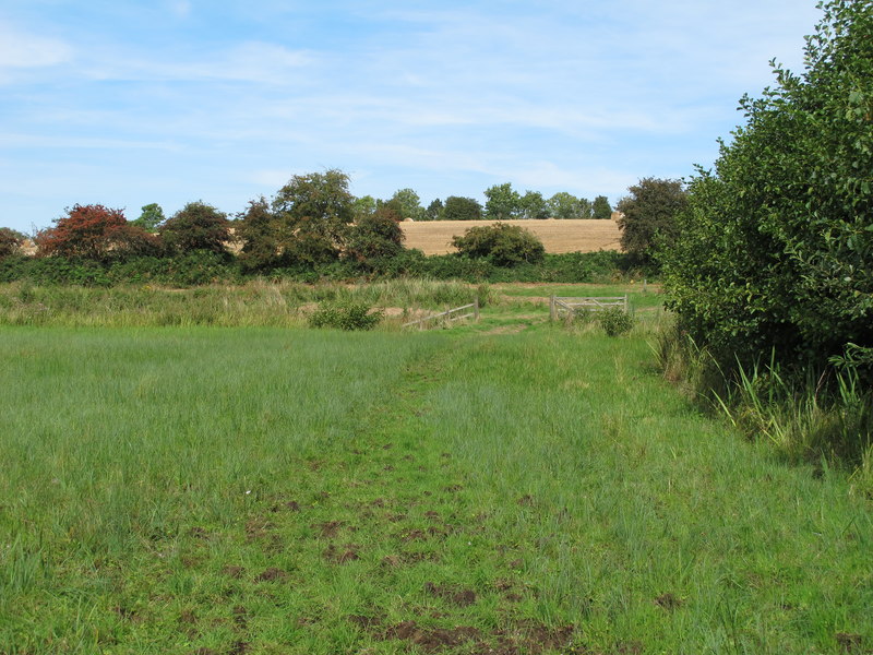 Path on Marshy Land, Darsham Marshes... © Roger Jones :: Geograph ...