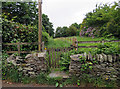 Footpath to centre of village