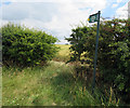 Footpath towards Burton Lazars