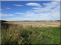 Potato field on Ganton Wold