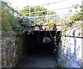 Pedestrian tunnel under Heaton Lodge Junction