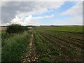 Potato field off North Cotes Road