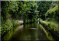 Passing place in the narrows near Fordhouses, Wolverhampton