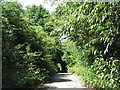 Track south of the railway by the Colne Brook