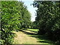 Path north of Thorney Mill Road