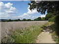 The Wealdway near Fitchetts Farm