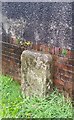 Milestone - Neath 11