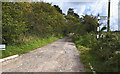 Meadow Lane leading to Hillside Cottage