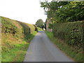 Hedge-lined Birthwaite Lane at Birtwaite House and Farm