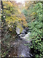 The Okement River from Beare Bridge