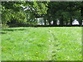 Field footpath at Hampsthwaite Hollins