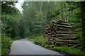 Timber stack along the Severn Way