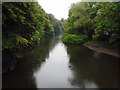 River Kelvin