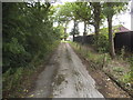 Bridleway to Bushwood Farm, Havering