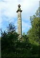 SJ9628 : Pitt's Column, Sandon Park by Alan Murray-Rust