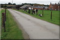 Cows by College Farm