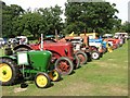 TG3406 : Vintage tractors on display by Evelyn Simak