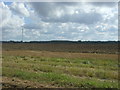 Field near Thurgood House Farm