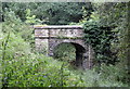 SO6114 : The Mirystock Bridge, Forest of Dean by Jeff Buck