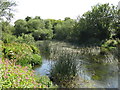 The River Colne south of Cricketfield Road