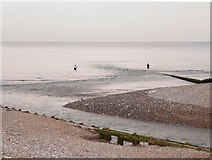 TV5197 : Sea-anglers at Cuckmere Haven by Stefan Czapski