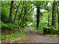 Access road for Monkwood Cottage