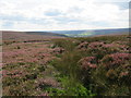 SE5998 : Slape Wath Moor by T  Eyre