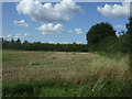 Field, Dales Farm