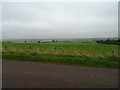 Fields near the Cuilsh Monument